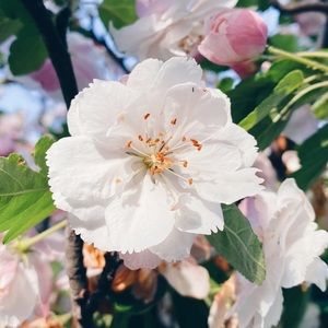 Meet your Posher, Nina